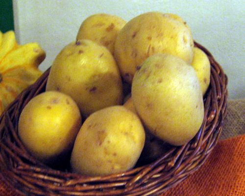 tipos de patata agria