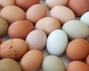 como elegir huevos frescos