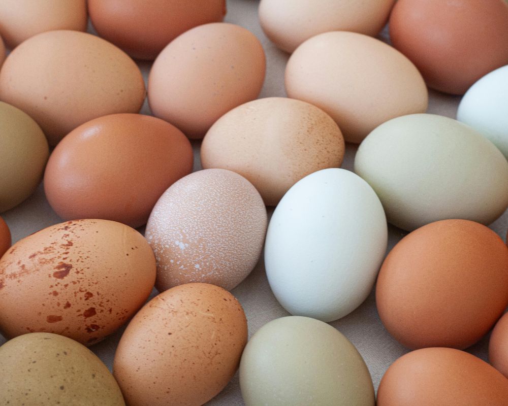 como elegir huevos frescos